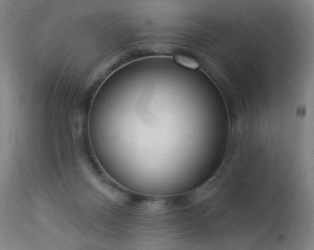 X0000112960120200908271126