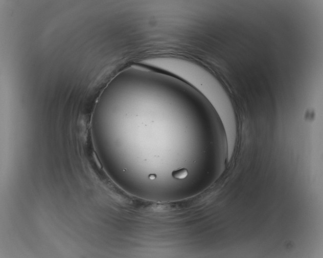 X0000112960121200908271126