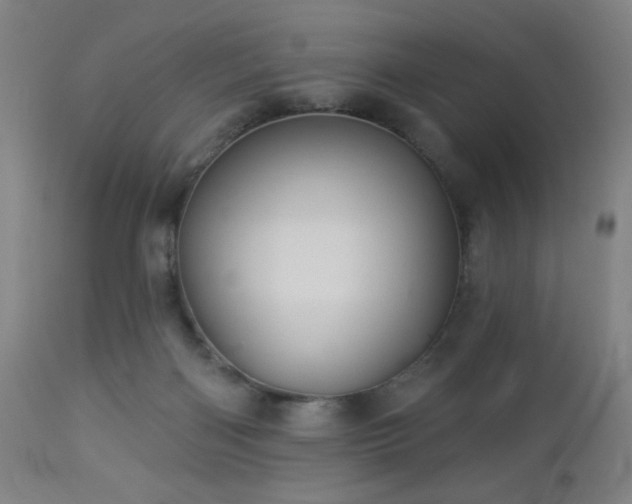 X0000112960122200908271126