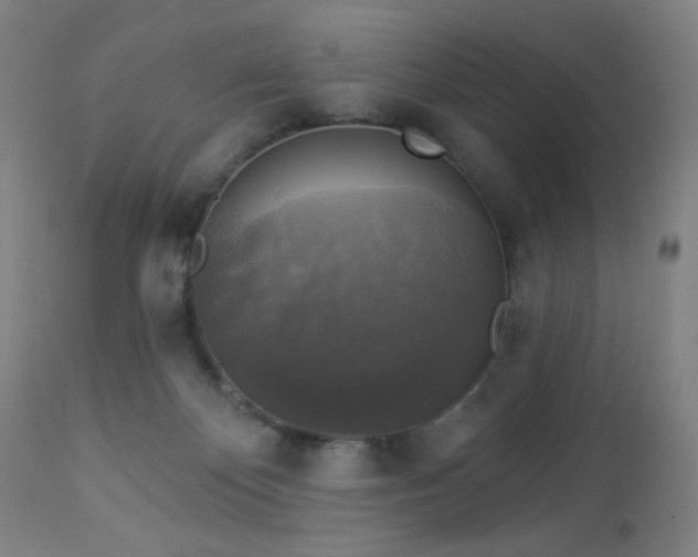 X0000112960124200908271126