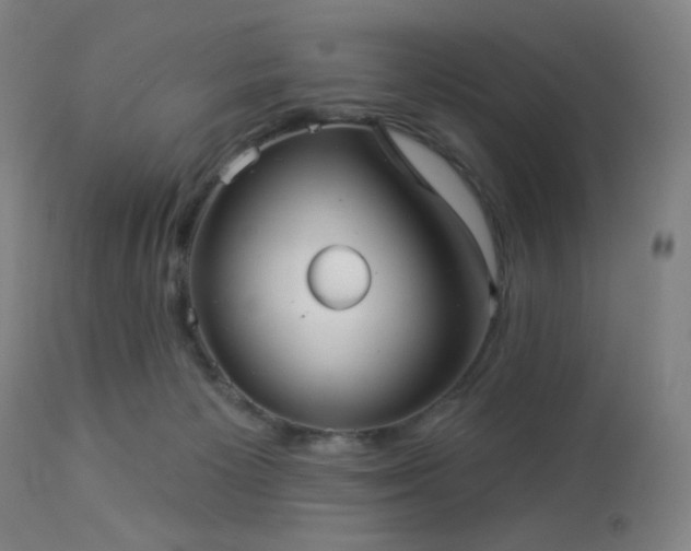 X0000112960125200908271126