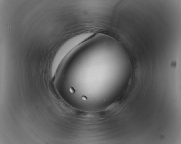 X0000112960129200908271126