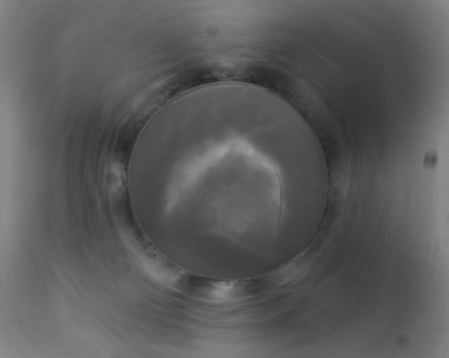 X0000112960130200908271126