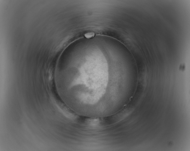 X0000112960131200908271126