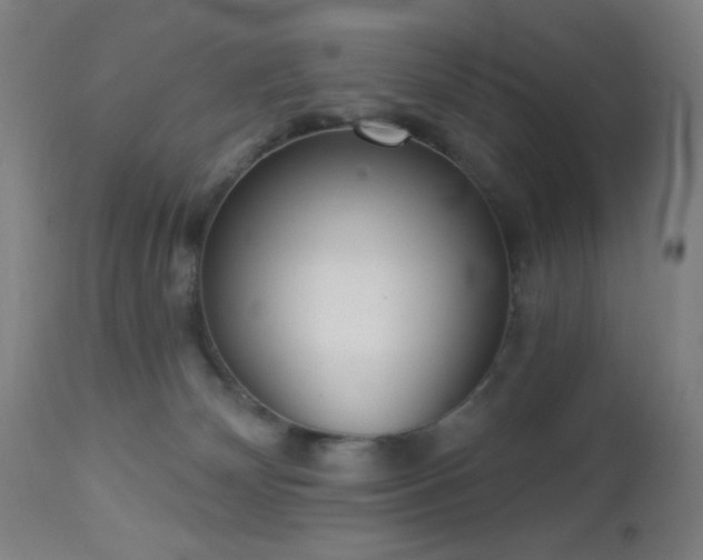 X0000112960132200908271126