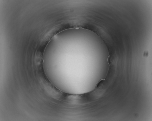 X0000112960133200908271126