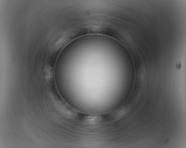 X0000112960135200908271126