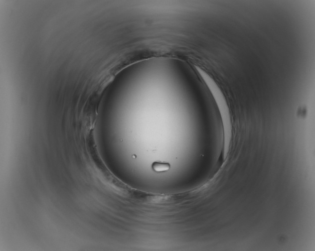 X0000112960136200908271126