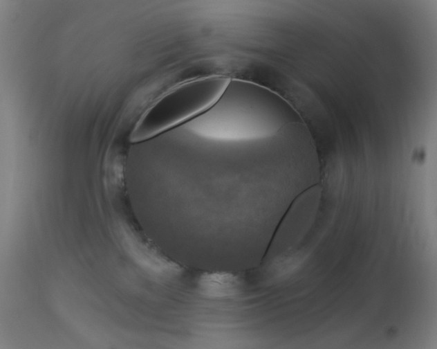 X0000112960137200908271126