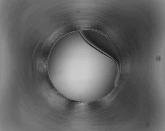 X0000112960140200908271126