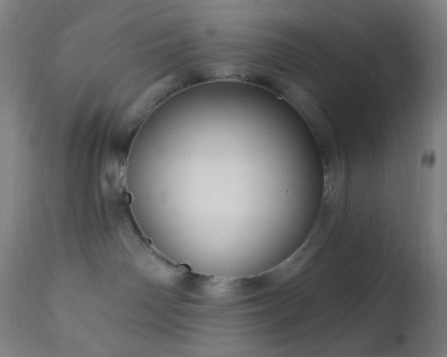 X0000112960142200908271126