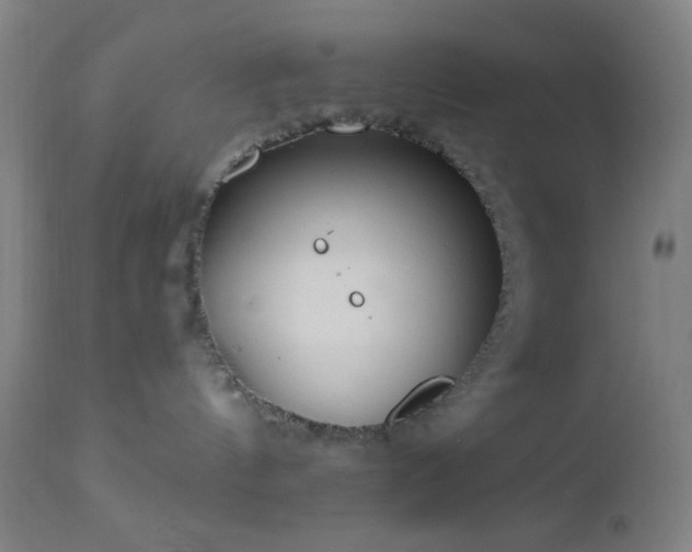 X0000112960144200908271126