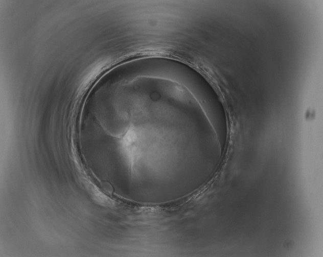 X0000112960145200908271125