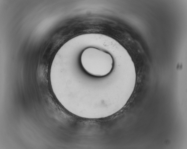 X0000112960146200908271125