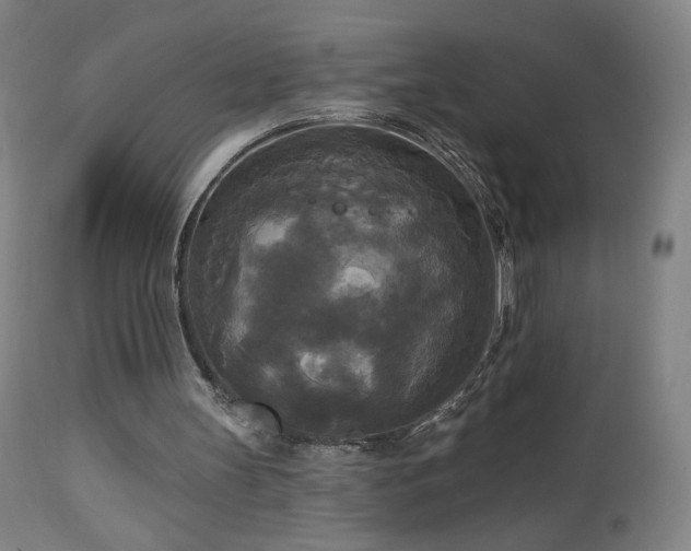 X0000112960147200908271125