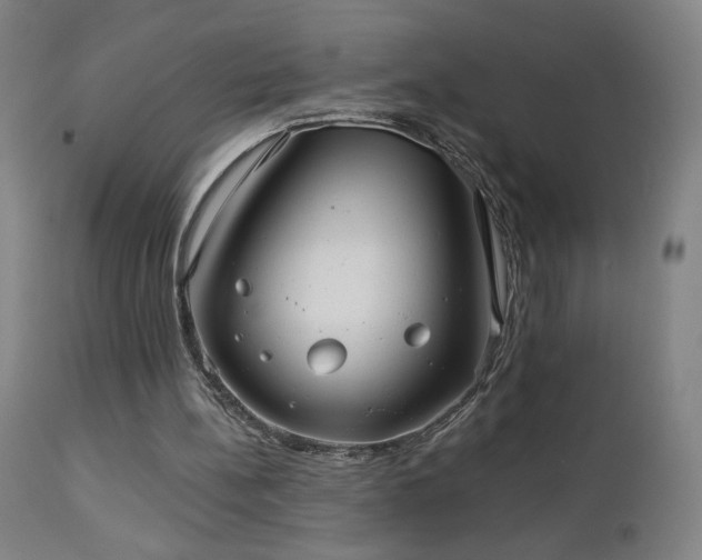 X0000112960148200908271125