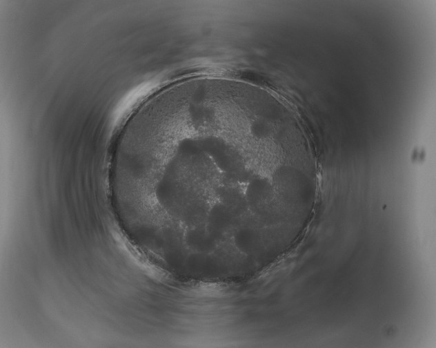 X0000112960149200908271125