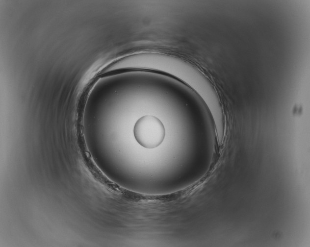 X0000112960150200908271125