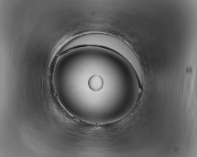 X0000112960152200908271125