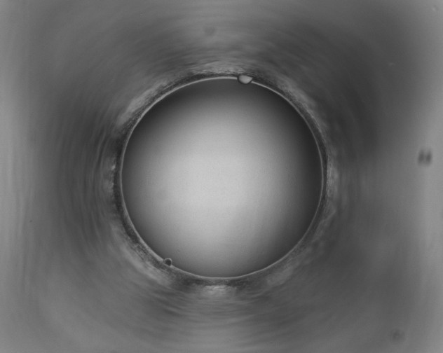 X0000112960153200908271125