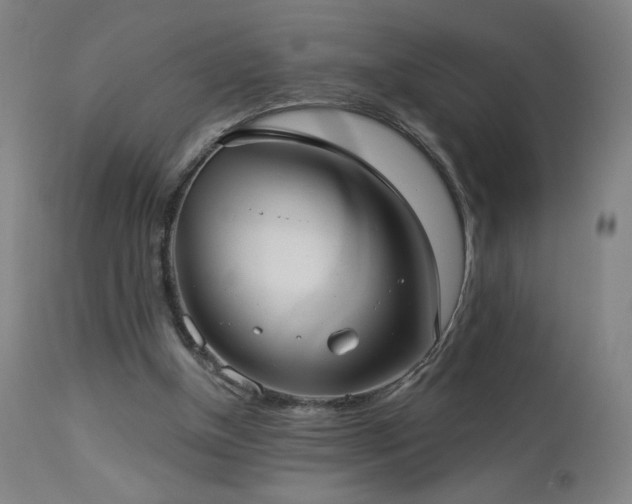 X0000112960154200908271125