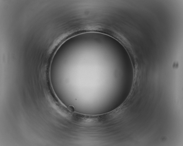 X0000112960155200908271125