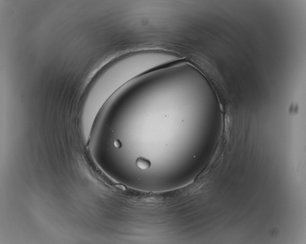 X0000112960156200908271125