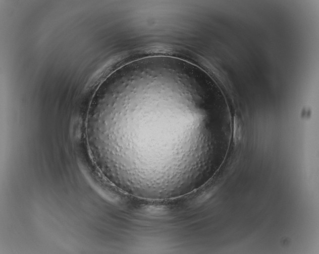 X0000112960157200908271125