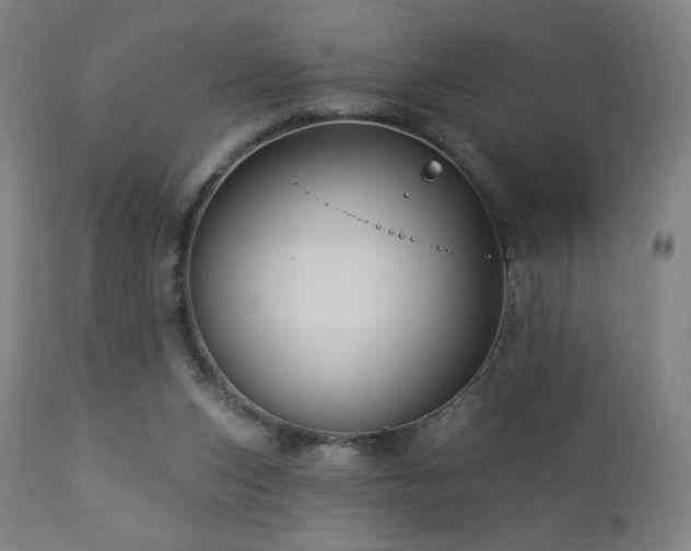 X0000112960159200908271125