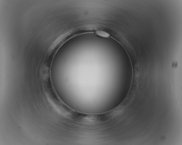 X0000112960164200908271125