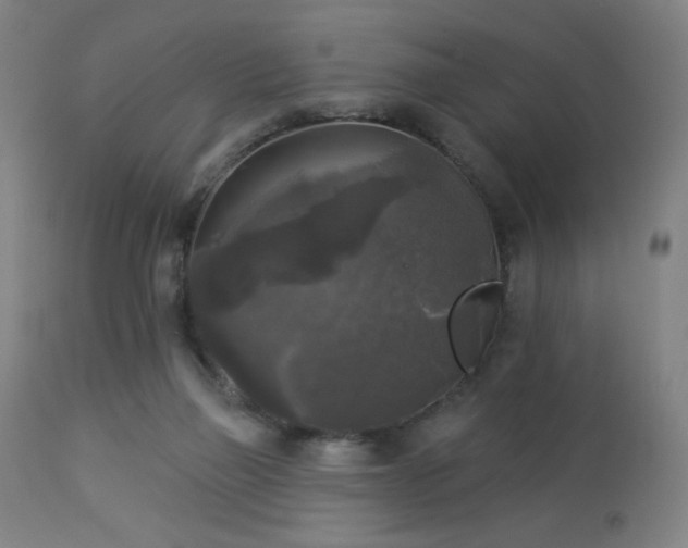 X0000112960165200908271125