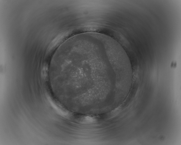 X0000112960166200908271126