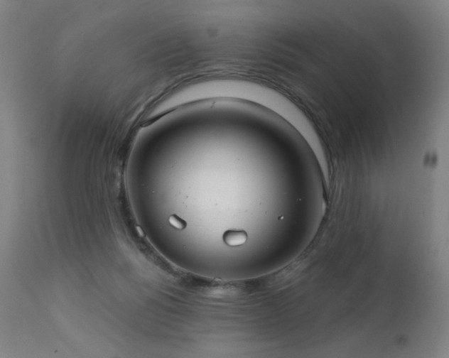 X0000112960168200908271126