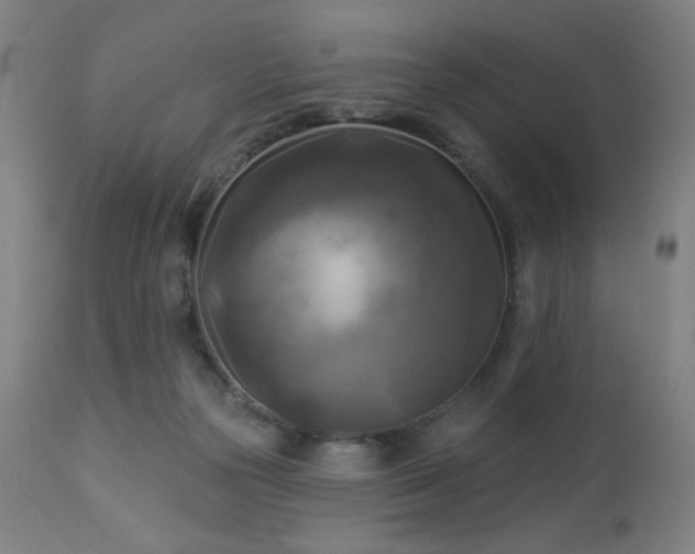 X0000112960169200908271126