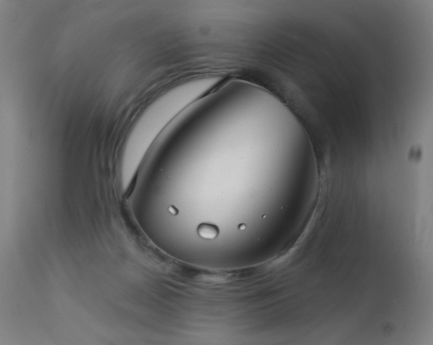 X0000112960170200908271126