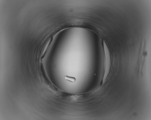 X0000112960172200908271126