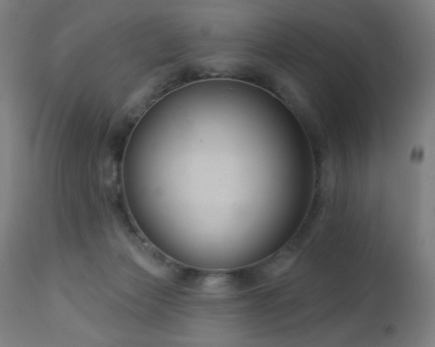 X0000112960173200908271126