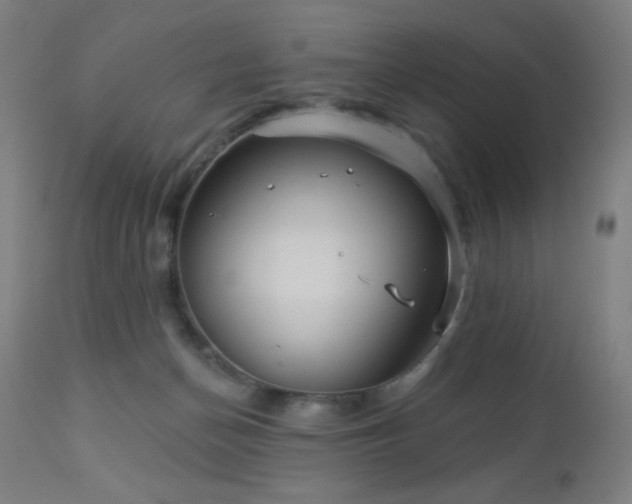 X0000112960174200908271126