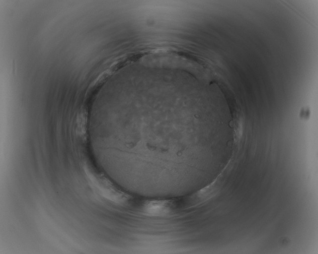 X0000112960175200908271126