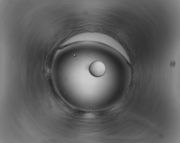 X0000112960176200908271126