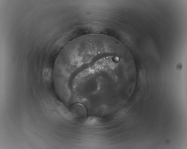 X0000112960177200908271126