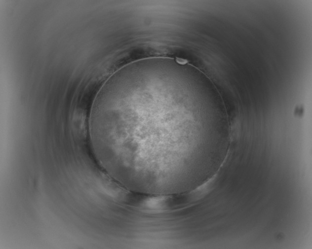 X0000112960178200908271126