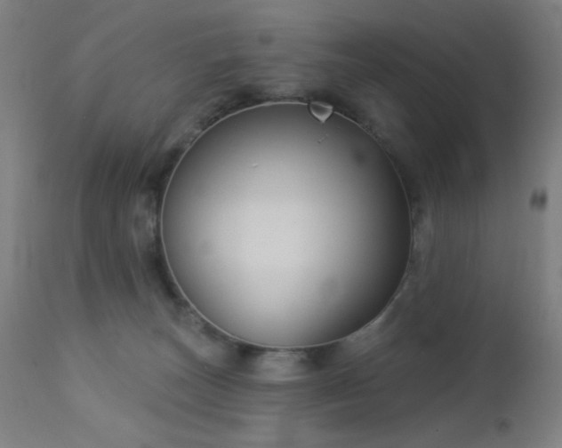 X0000112960179200908271126