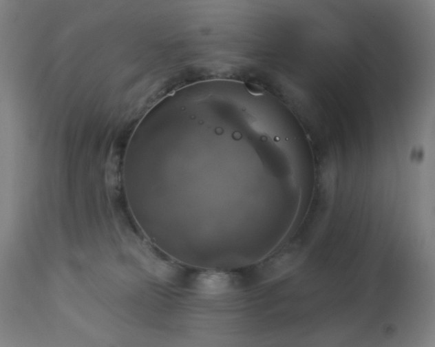 X0000112960181200908271126