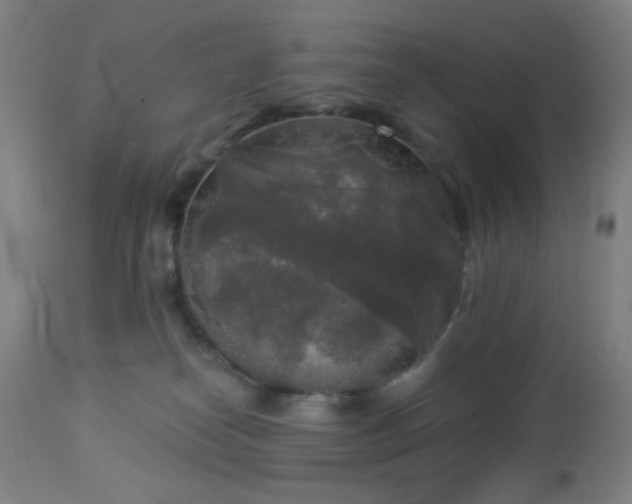 X0000112960182200908271126