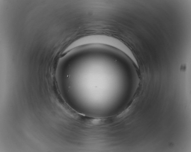 X0000112960184200908271126