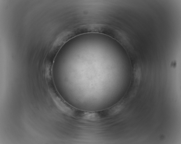 X0000112960185200908271126