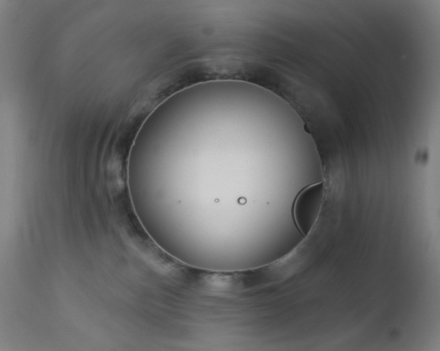 X0000112960187200908271126