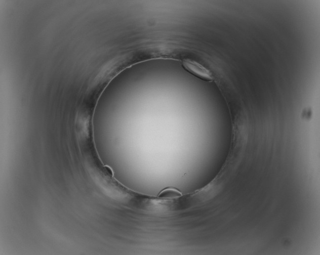 X0000112960188200908271126