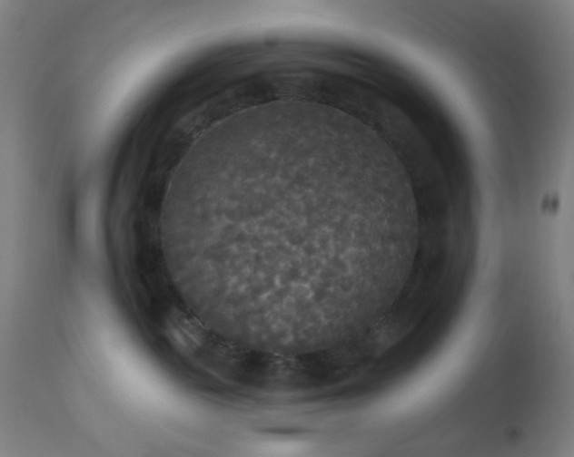 X0000112960189200908271126